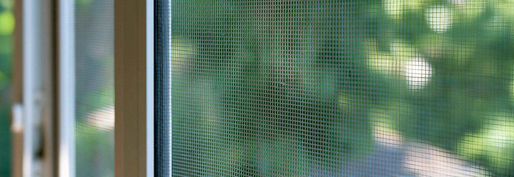 Blick durch ein Insektenschutzgewebe am geöffneten Fenster in den Garten